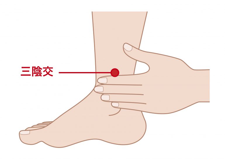 三陰交｜郡山つつみ鍼灸整骨院